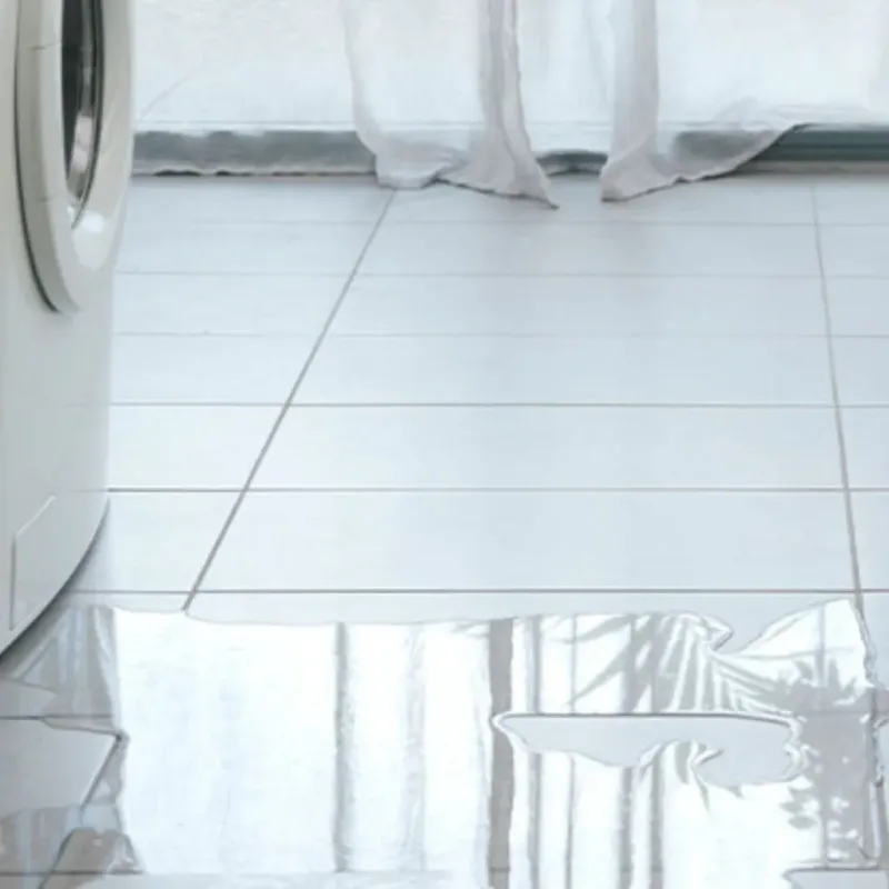 Appliance Leak Cleanup in Newton County, MO