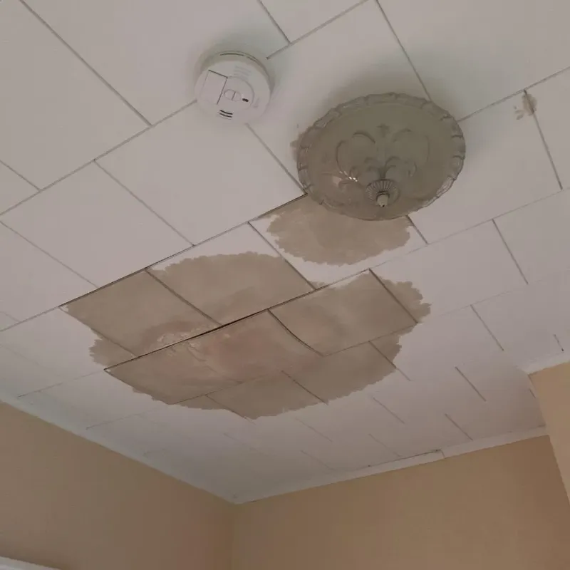 Ceiling Water Damage Repair in Newton County, MO