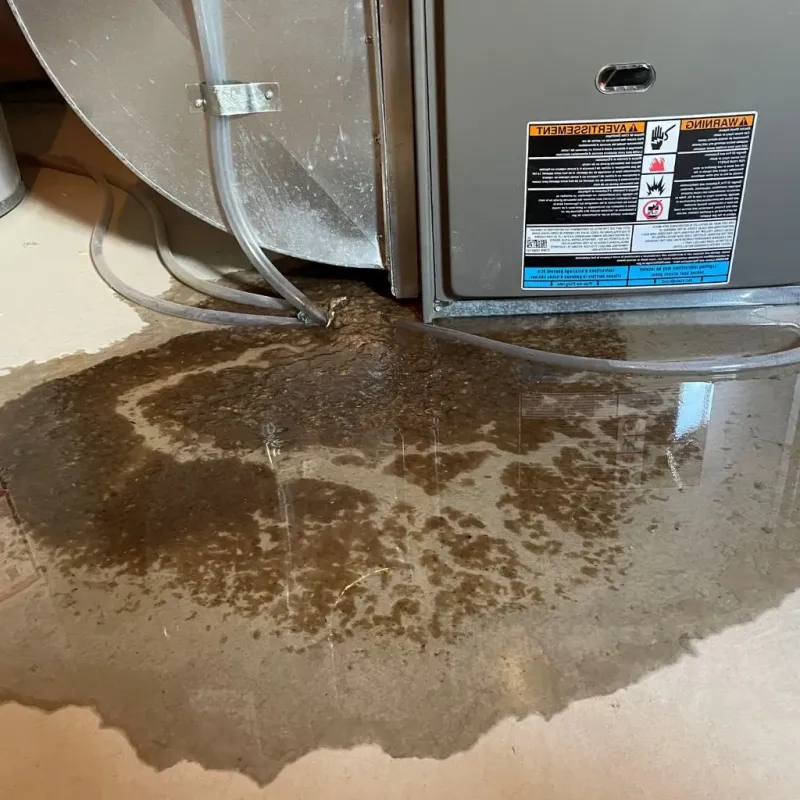 Pipe Burst and Leak Restoration in Newton County, MO