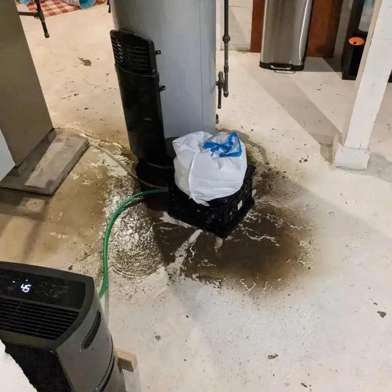 Sewage Backup Cleanup Service in Newton County, MO
